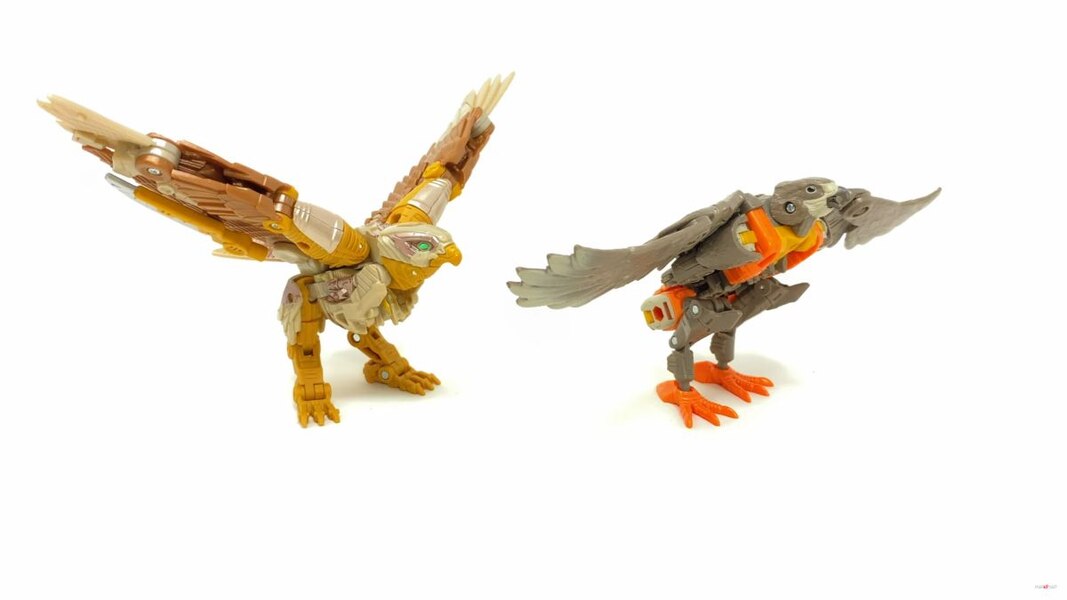 Image Of Rise Of The Beasts Studio Series Airazor Toy  (33 of 55)
